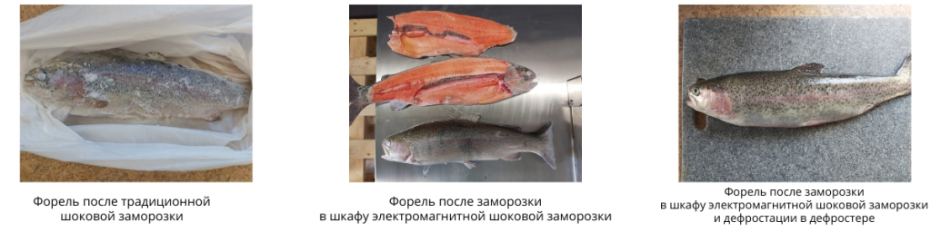 фото 1.png